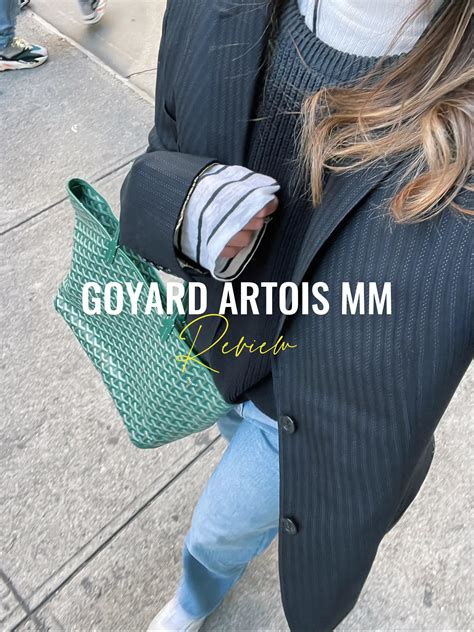 Artois saint louis bag